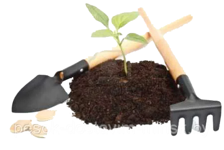 81159144_w640_h640_rastitelnyj-grunt-v